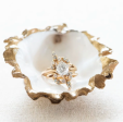 Oyster Jewelry Dish Discount