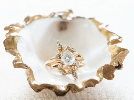 Oyster Jewelry Dish Discount