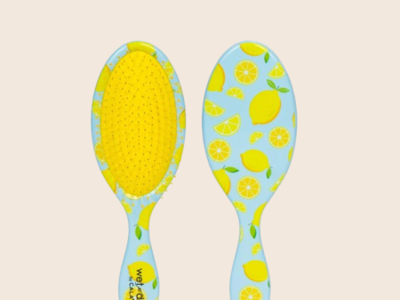 Wet-n-Dry Lemon Pattern Hair Brush For Sale