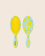 Wet-n-Dry Lemon Pattern Hair Brush For Sale