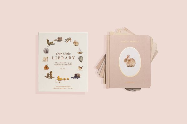 Our Little Library Book Set Online now