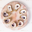 Oyster Jewelry Dish Discount