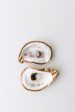 I Do, Me Too Gilded Oyster Jewelry Dish Set Online Sale