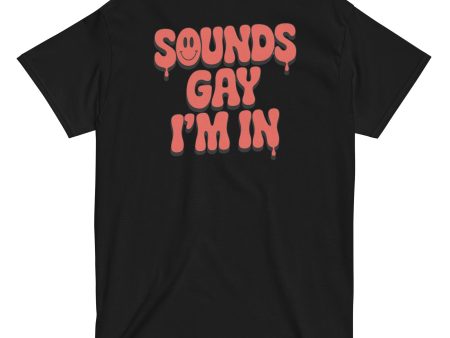 Sounds Gay I m In Unisex Tee on Sale