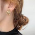 Sparkler Stud Statement Earrings Online