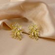 Sparkler Stud Statement Earrings Online