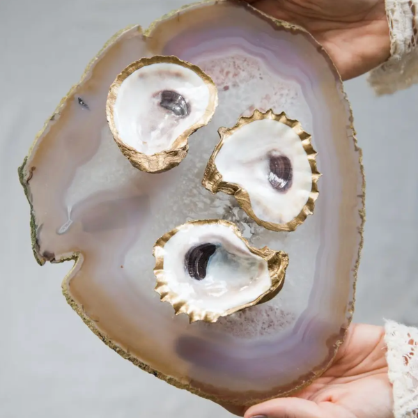 Oyster Jewelry Dish Discount