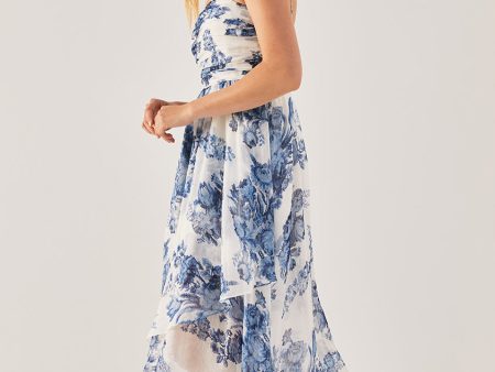 Rosarium Fleur Silk Linen Maxi Dress Online Sale