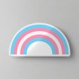 Transgender Flag Rainbow Shaped Pillow For Cheap